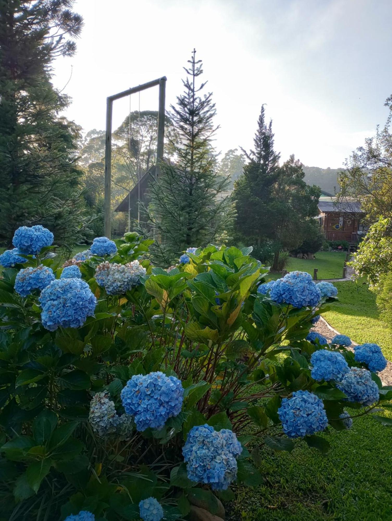 Casa De Toras 호텔 캄푸 알레그리 외부 사진